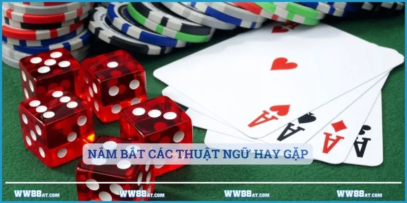 Nắm bắt các thuật ngữ hay gặp