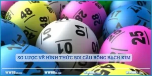 Sơ lược về hình thức soi cầu Rồng bạch kim