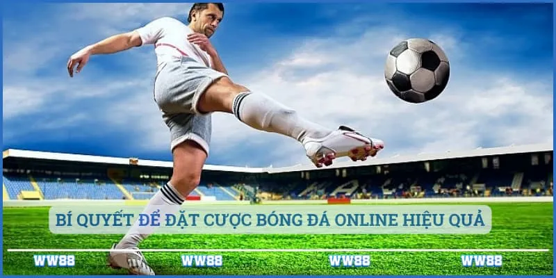 Bí quyết để đặt cược bóng đá online hiệu quả